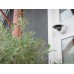 AXIS P3245-LVE AXIS P3245-LVE